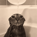 wetpussy