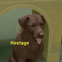 Hostage