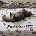 ZZZ