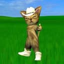 GATODONATO