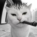 SIGMEW