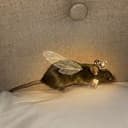 ToothMouse