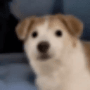 deg