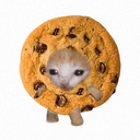 Cookie