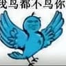 我鸟都不鸟你