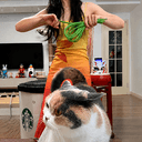 CatDance