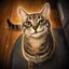 SMIRKCAT
