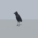 CROW
