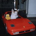 rari