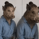 BOAR