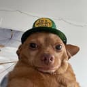 $fatdog
