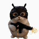Catwifgun