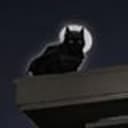 batcat