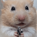 hammy