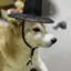 GATWIF