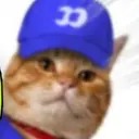 fomocat
