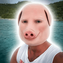 PORK