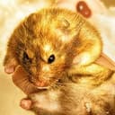hamsters