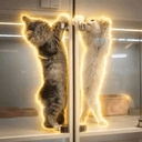 Twapcats