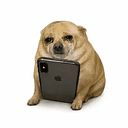 DEBTDOG