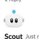 SCOUT