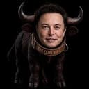 Elon Bull