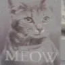 MEOW