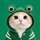 TOADCAT