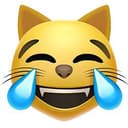 JOYCAT