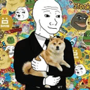 shitcoiner
