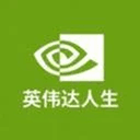 英伟达人生