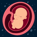 WOMB