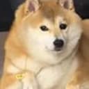 八嘎