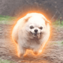 Leoncito
