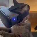 THCAT