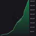 debt