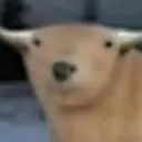 bul
