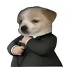 suit