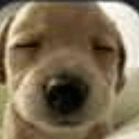 BENNY