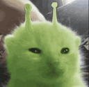 GLORP