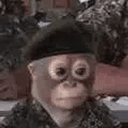 MWG