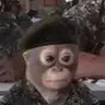 MWG