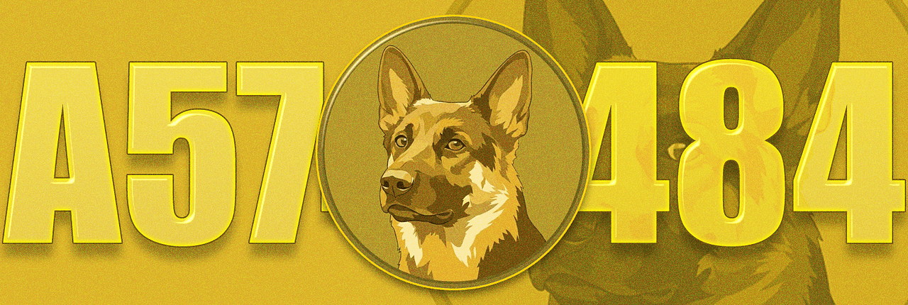 Doge A5745484 Banner