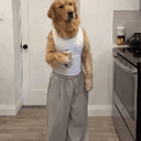 CDOG