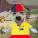 Roscoe