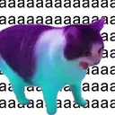 aaaaa