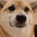boop