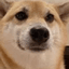 boop