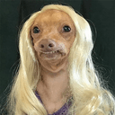 TPDOG