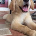 Murphy